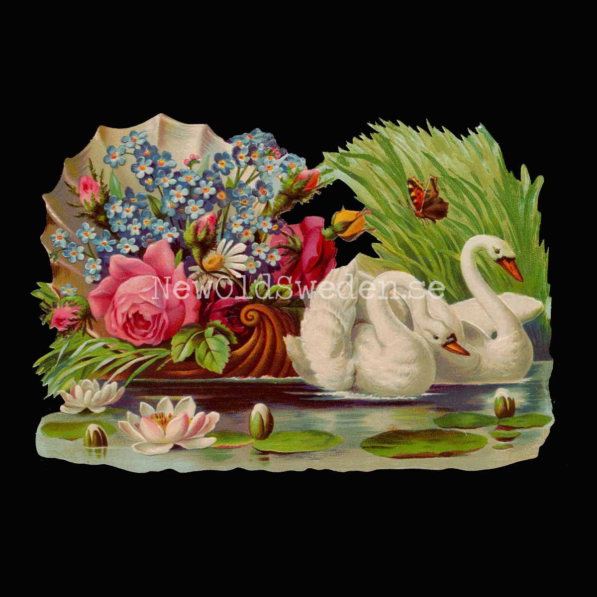 Swans 16x11 cm - Bokmärke © Ernst Freihoff 5088