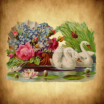Swans 16x11 cm - Bokmärke © Ernst Freihoff 5088