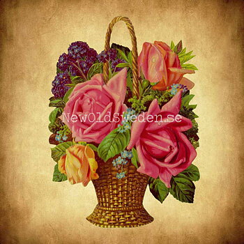 Bouquet of Roses 11.5x16 cm - Bokmärke © Ernst Freihoff 5091