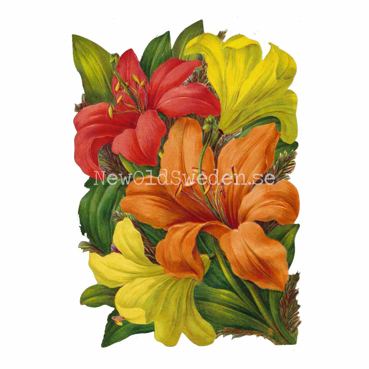 Lilies 11x16.5 cm - Bokmärke © Ernst Freihoff 5097 - 3