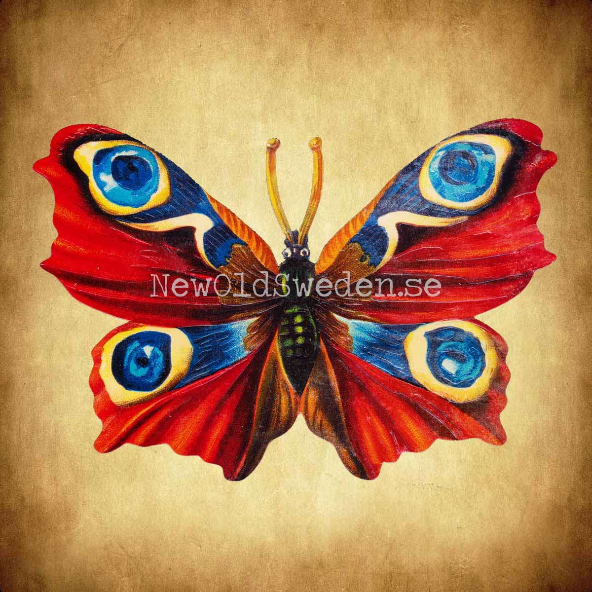 Red Butterfly 16.5x10.5 cm - Bokmärke © Ernst Freihoff 5099 - 2