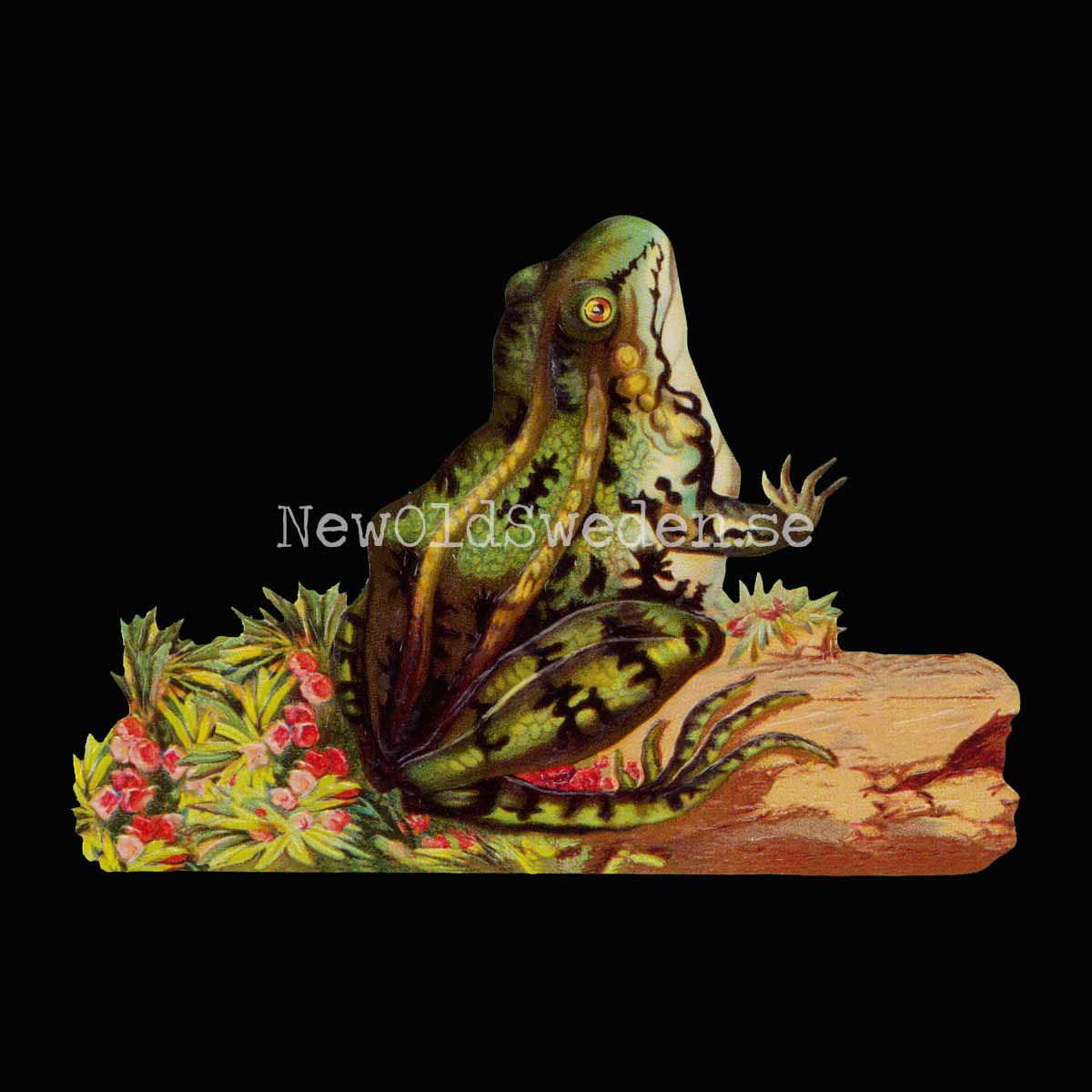 Frog 16.5x11.5 cm - Bokmärke © Ernst Freihoff 5119