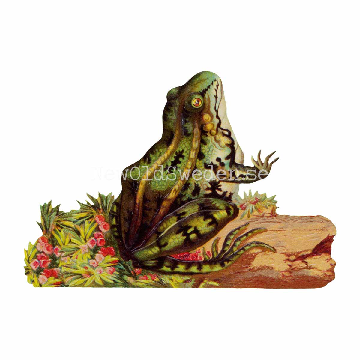 Frog 16.5x11.5 cm - Bokmärke © Ernst Freihoff 5119 - 3