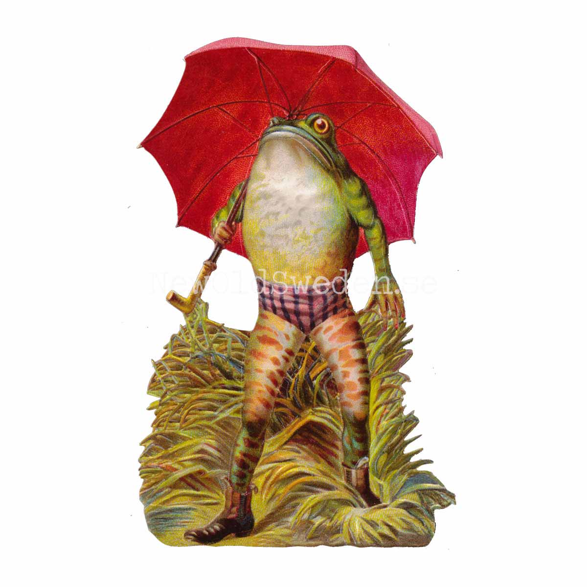 Frog with red Umbrella 10x16 cm cm - Bokmärke © Ernst Freihoff 5120 - 3