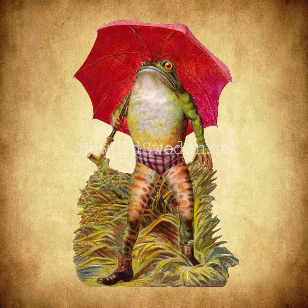 Frog with red Umbrella 10x16 cm cm - Bokmärke © Ernst Freihoff 5120 - 2