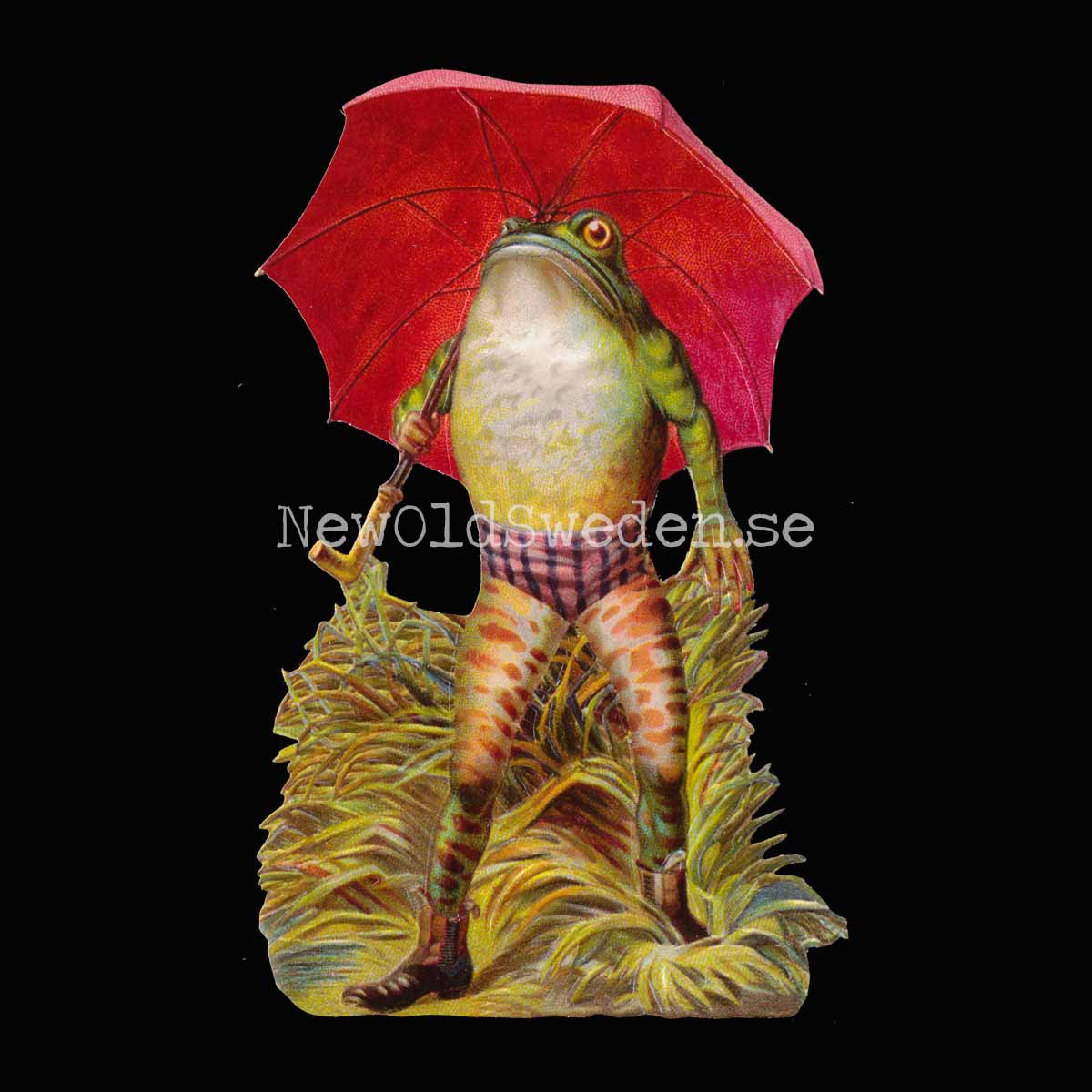 Frog with red Umbrella 10x16 cm cm - Bokmärke © Ernst Freihoff 5120