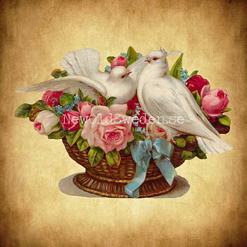 Dove in Basket with Roses 16x11 cm - Bokmärke © Ernst Freihoff 5174