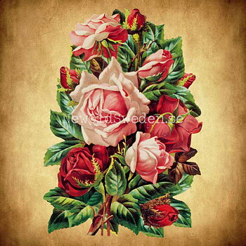Bouquet of Roses 11.5x16.5 cm - Bokmärke © Ernst Freihoff 5146