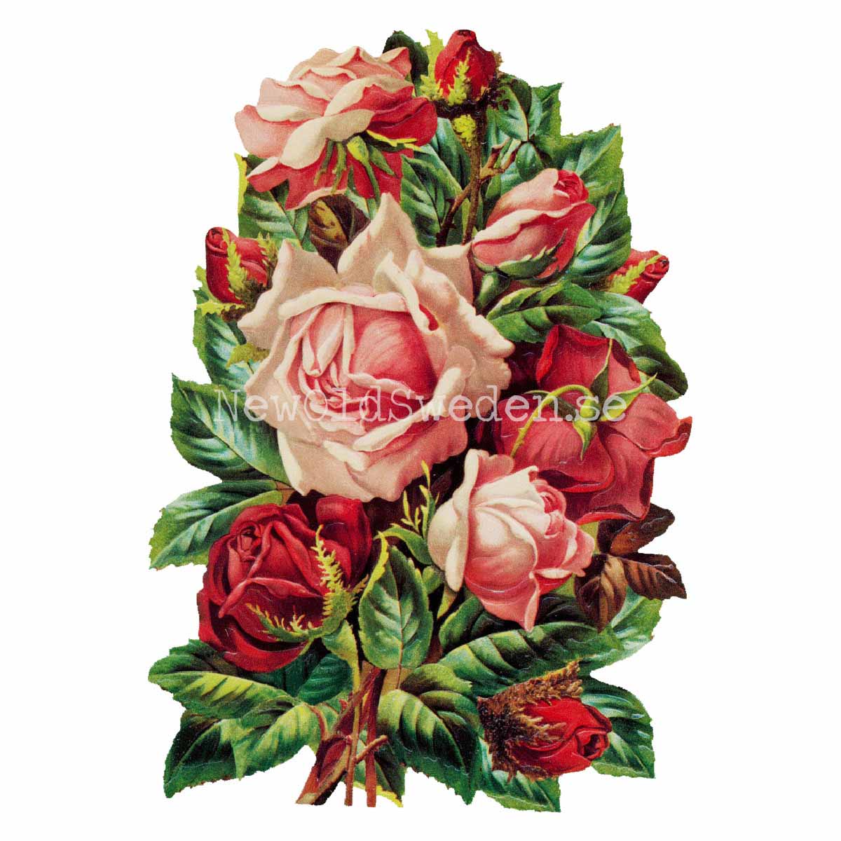 Bouquet of Roses 11.5x16.5 cm - Bokmärke © Ernst Freihoff 5146 - 3
