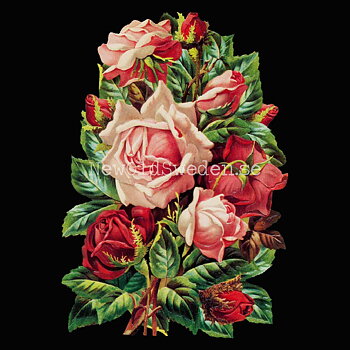 Bouquet of Roses 11.5x16.5 cm - Bokmärke © Ernst Freihoff 5146
