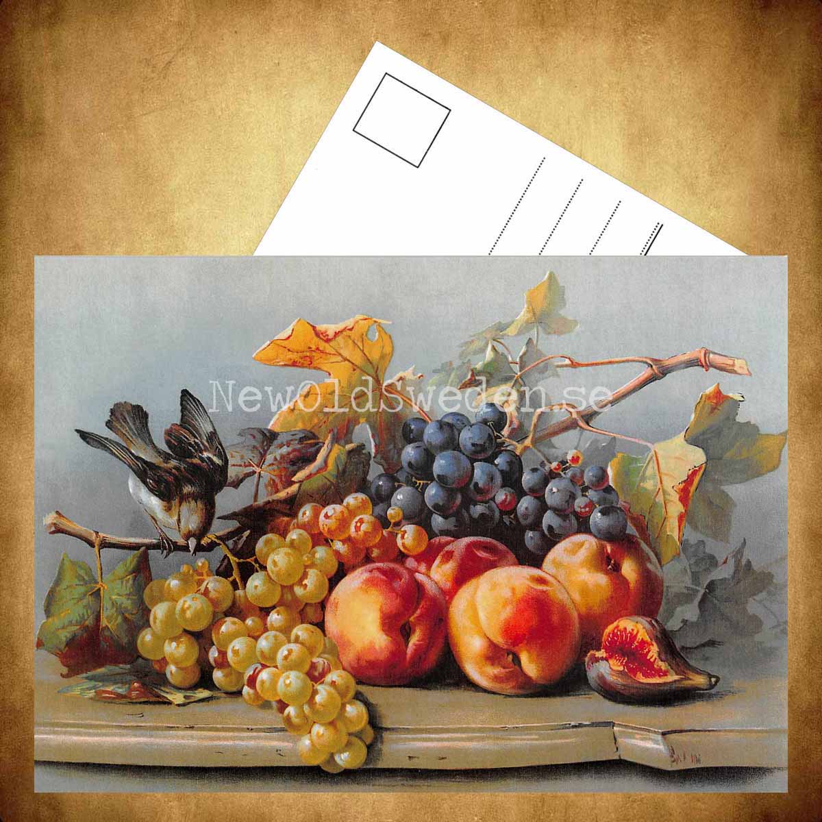 Stilleben - Fågel och frukt - 3