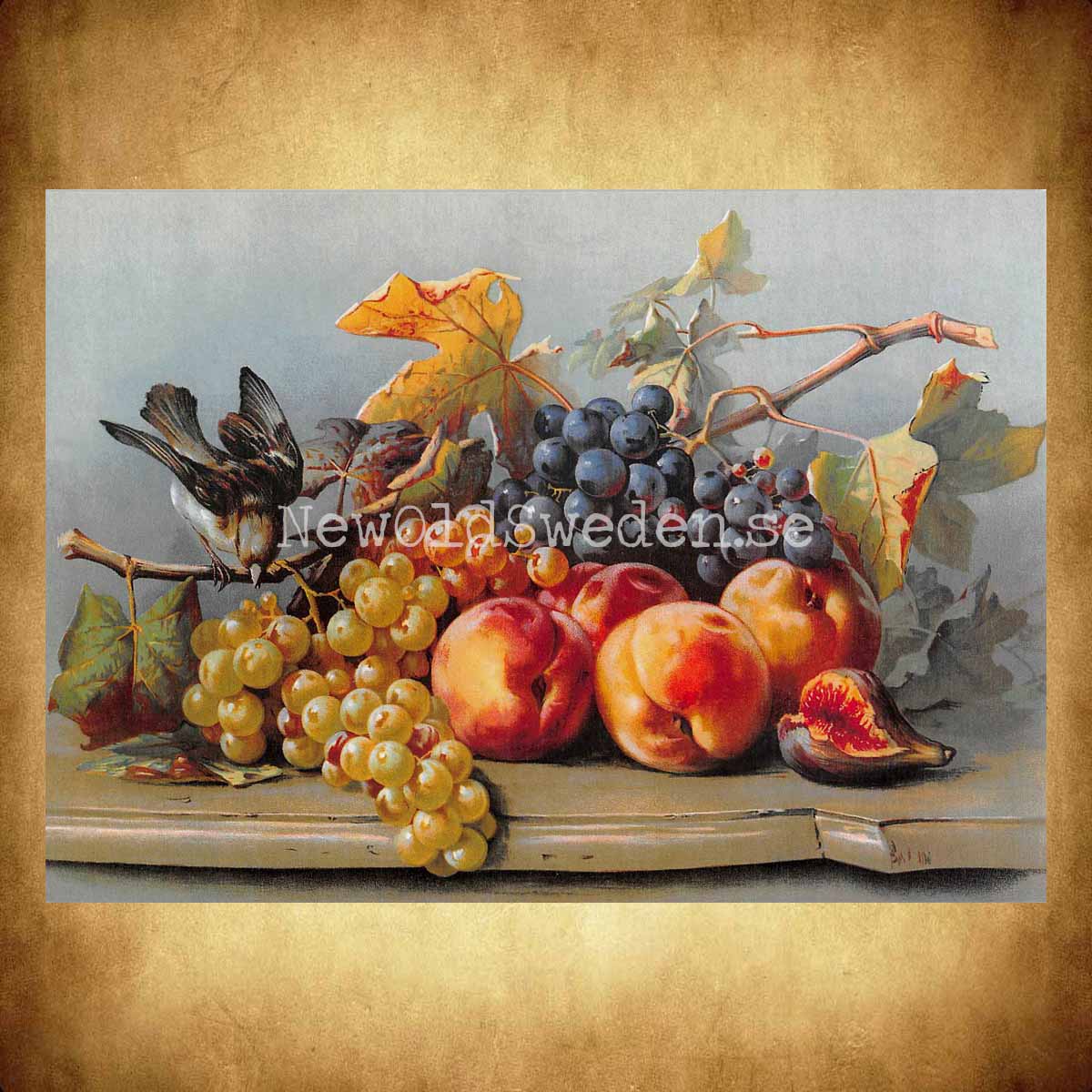 Stilleben - Fågel och frukt - 2