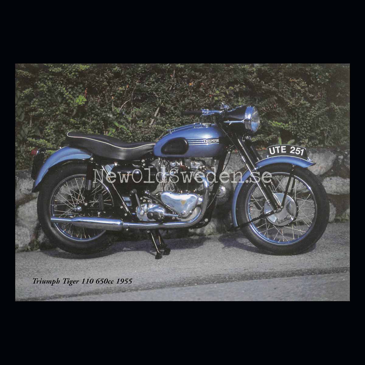 TRIUMPH Tiger 110 650cc 1955 - Vykort A5