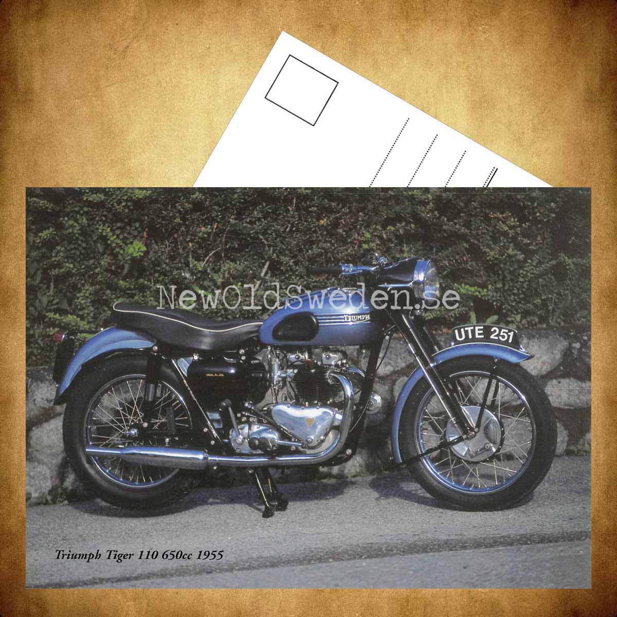 TRIUMPH Tiger 110 650cc 1955 - Vykort A5 - 3