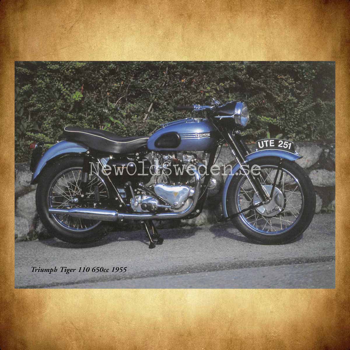 TRIUMPH Tiger 110 650cc 1955 - Vykort A5 - 2