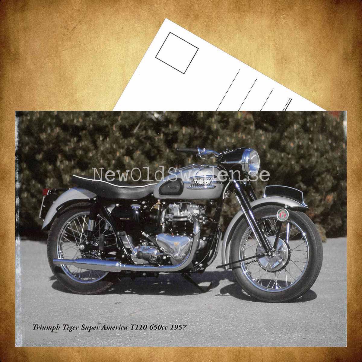 TRIUMPH Tiger Super America T110 650cc 1957 - Vykort A5 - 3