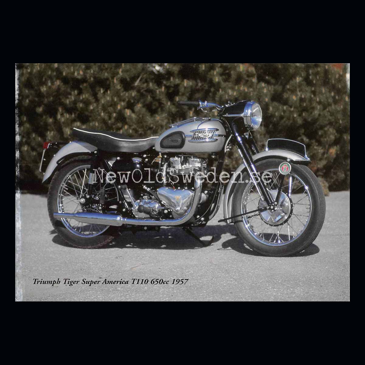 TRIUMPH Tiger Super America T110 650cc 1957 - Vykort A5