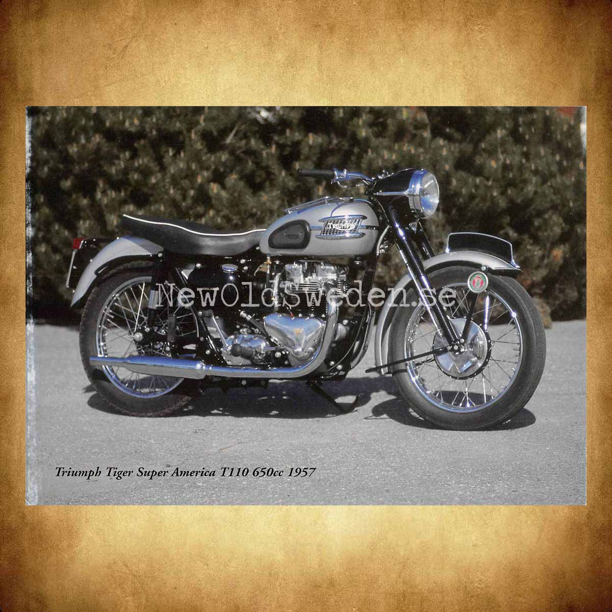 TRIUMPH Tiger Super America T110 650cc 1957 - Vykort A5 - 2