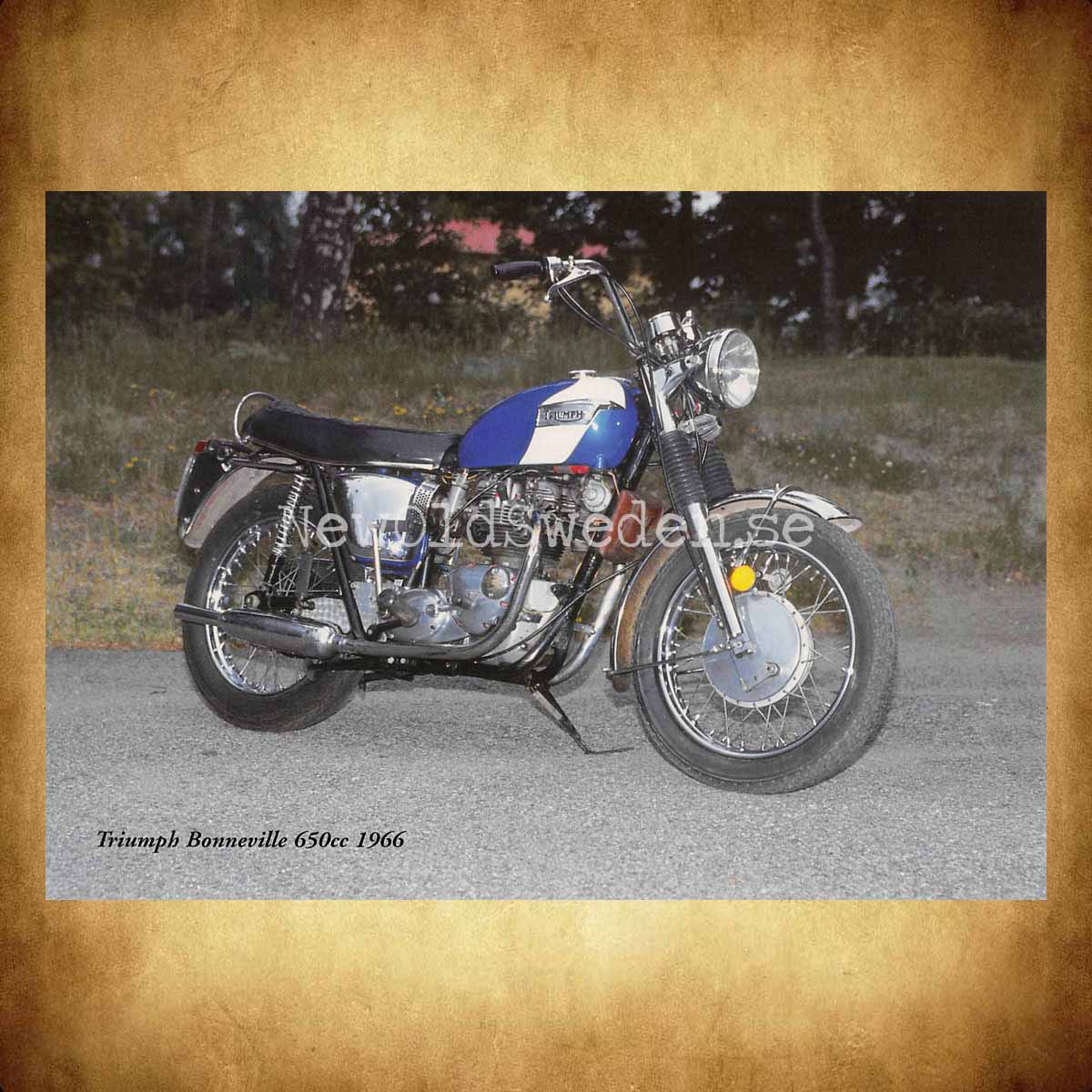 TRIUMPH Bonneville 650cc 1966 - Vykort A5 - 2