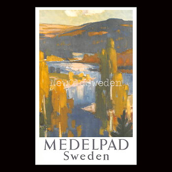 MEDELPAD OCH ÄLV - 1950 - Vykort 12 x 18 cm