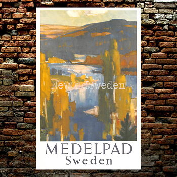 MEDELPAD OCH ÄLV - 1950 - Vykort 12 x 18 cm