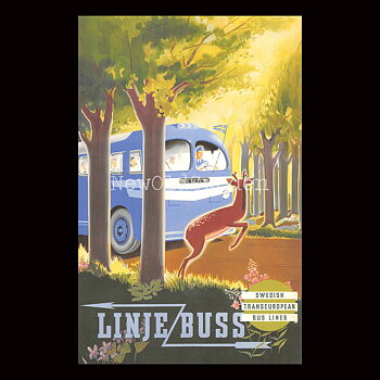 LINJEBUSS - 1948 - Vykort 12 x 18 cm