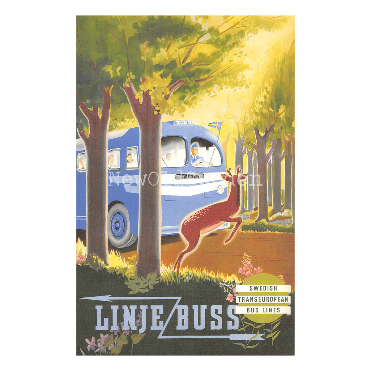 LINJEBUSS - 1948 - Vykort 12 x 18 cm - 4