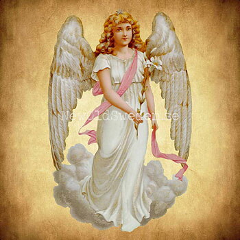 Angel White 10.5x16 cm - Bokmärke © Ernst Freihoff 5017