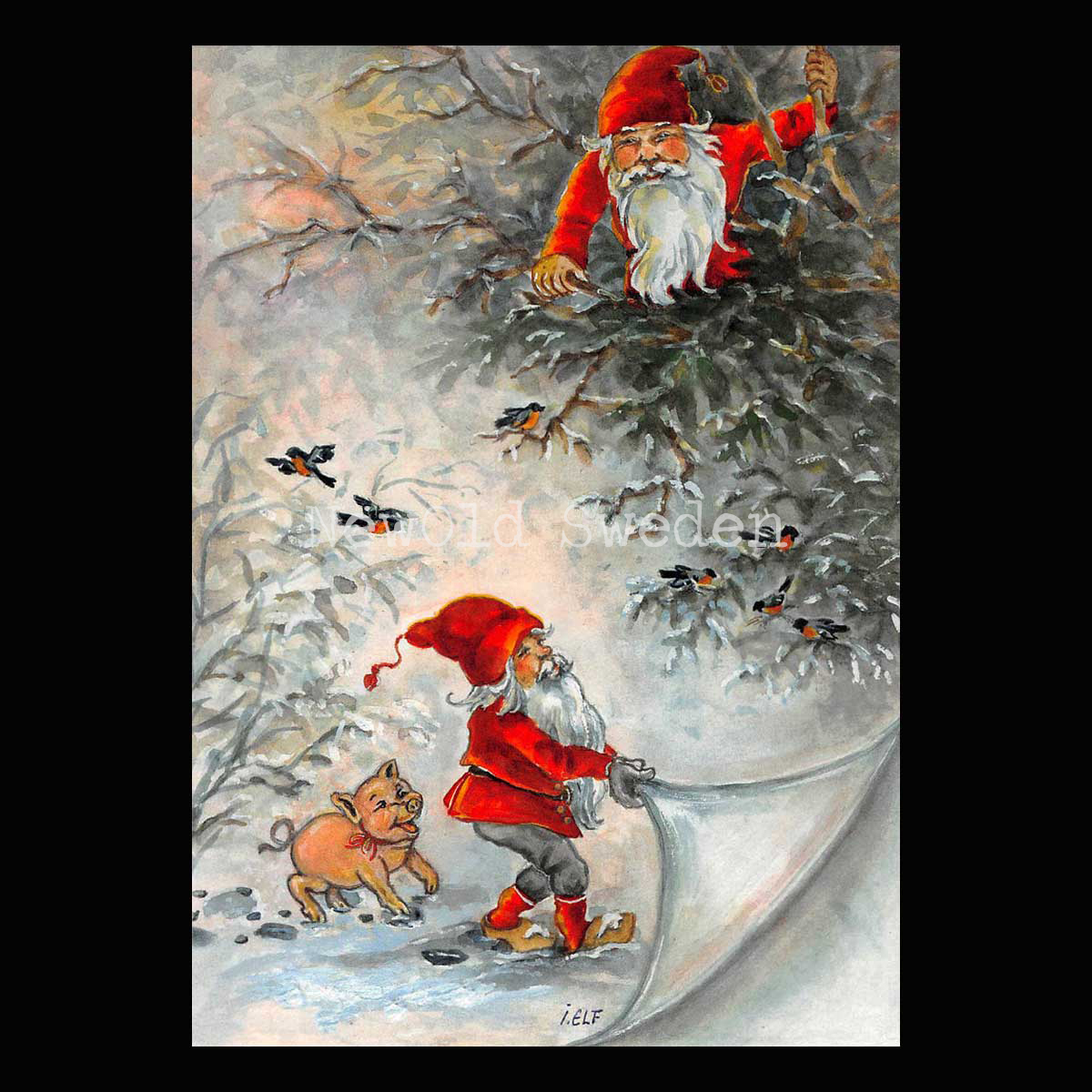 Snötäcket - Ingrid Elf - 1018