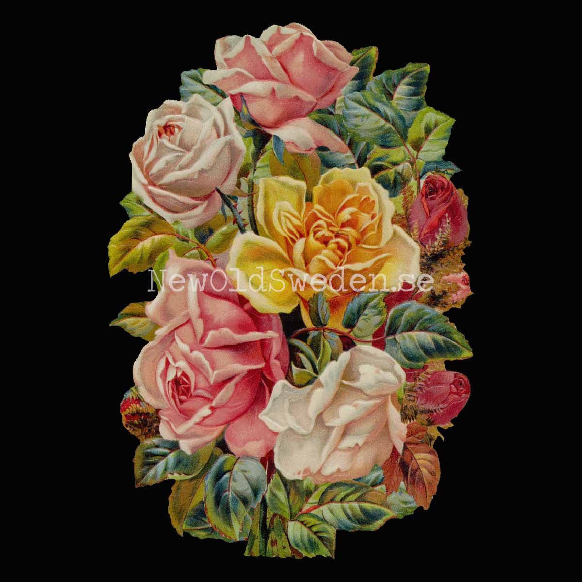 Colorful Roses 11x16 cm - Bokmärke © Ernst Freihoff 5179