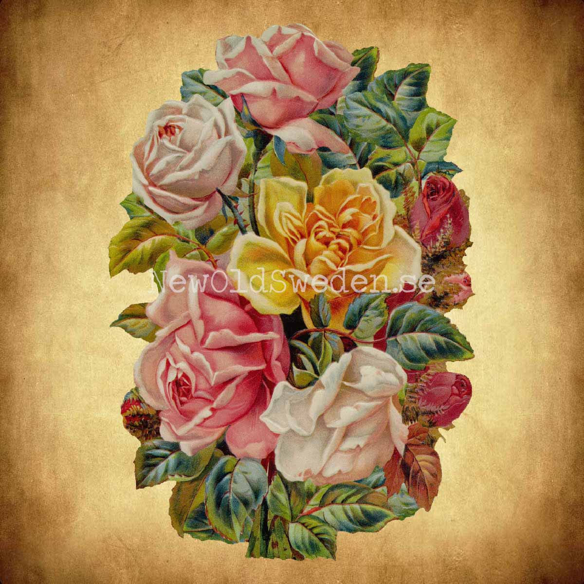 Colorful Roses 11x16 cm - Bokmärke © Ernst Freihoff 5179 - 2