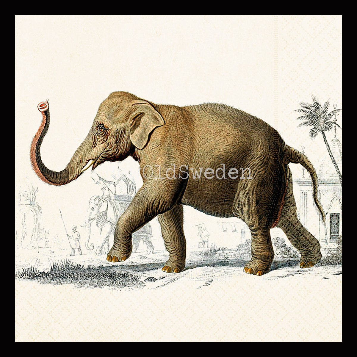 Safaridjur Servett 33 x 33 cm
