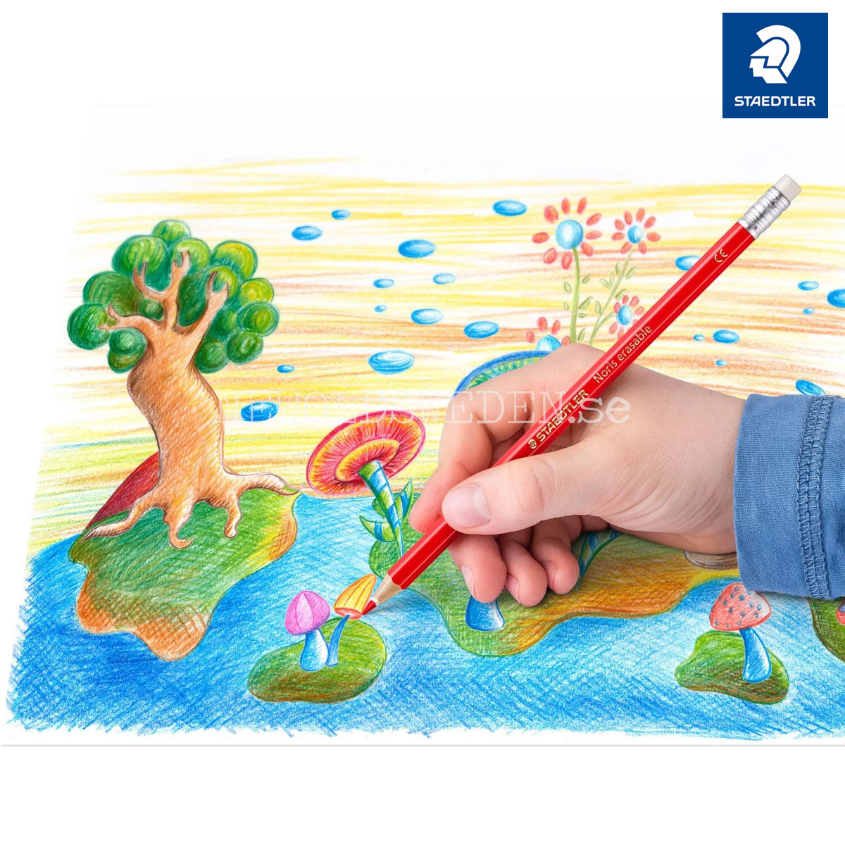 Noris 24 Erasable pencils  STAEDTLER - 6