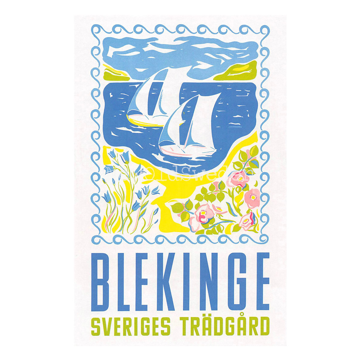BLEKINGE - 1950 - Vykort 12 x 18 cm - 4