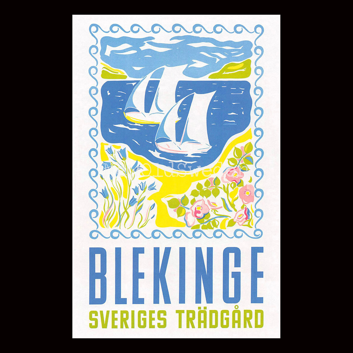 BLEKINGE - 1950 - Vykort 12 x 18 cm