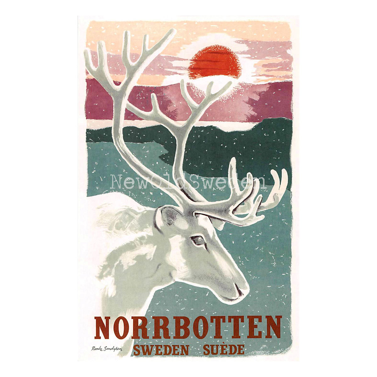 NORRBOTTEN - 1952 - Vykort 12 x 18 cm - 4