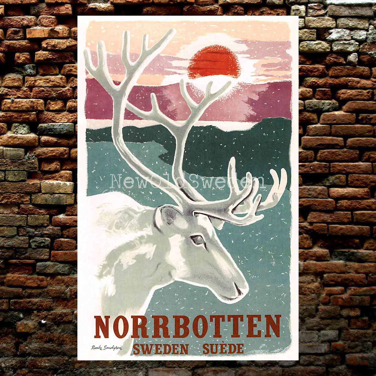 NORRBOTTEN - 1952 - Vykort 12 x 18 cm - 2