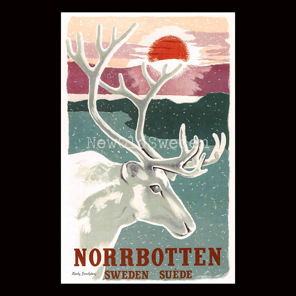 NORRBOTTEN - 1952 - Vykort 12 x 18 cm