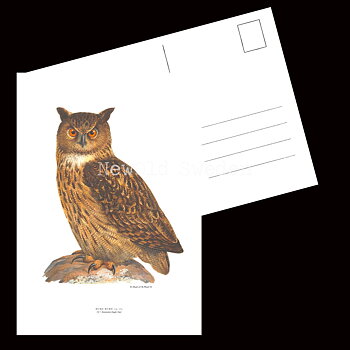 Uf - BUBO BUBO - B2