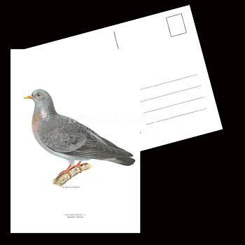 Skogsdufa - COLUMBA OENAS - B2