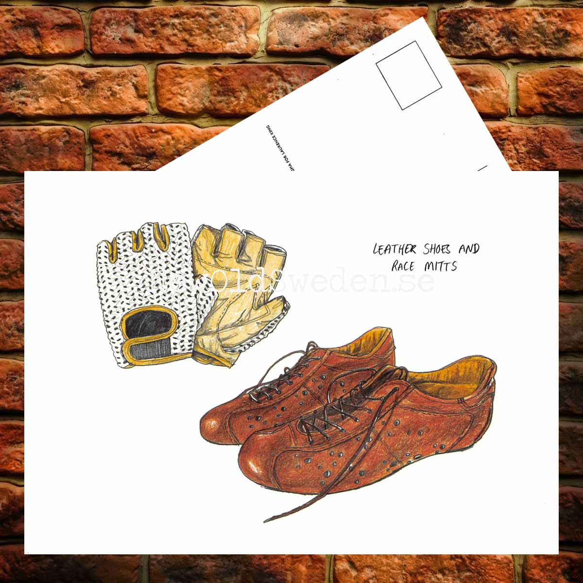 Leather shoes and classic race mitts - Card No. 17 - 3