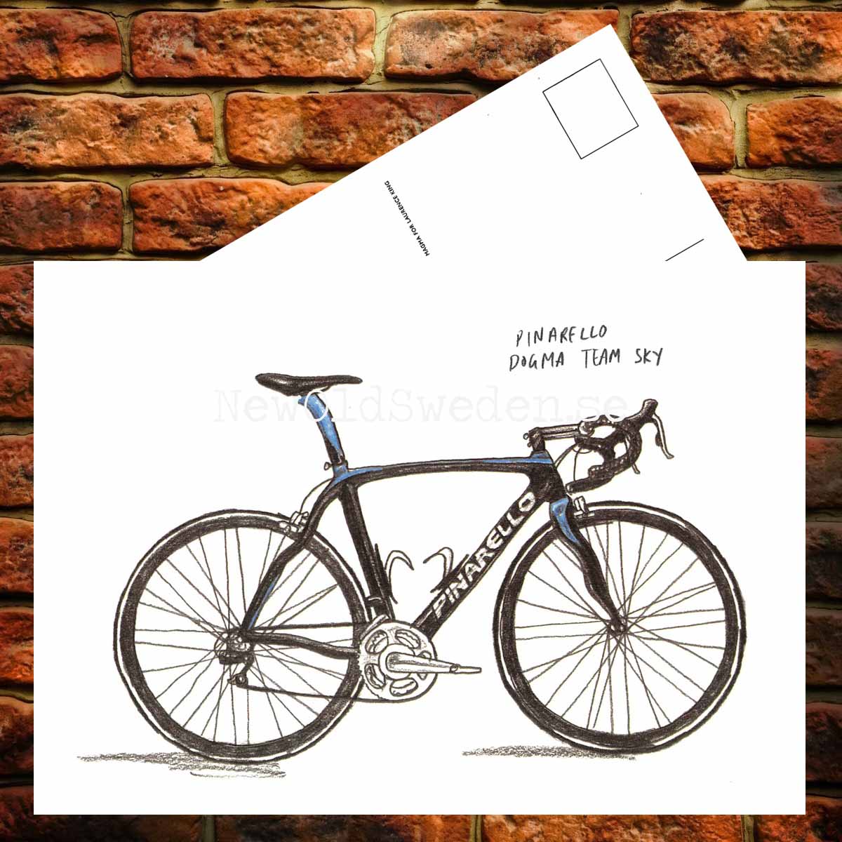 Pinarello Dogma - Team Sky - Card No. 19 - 3