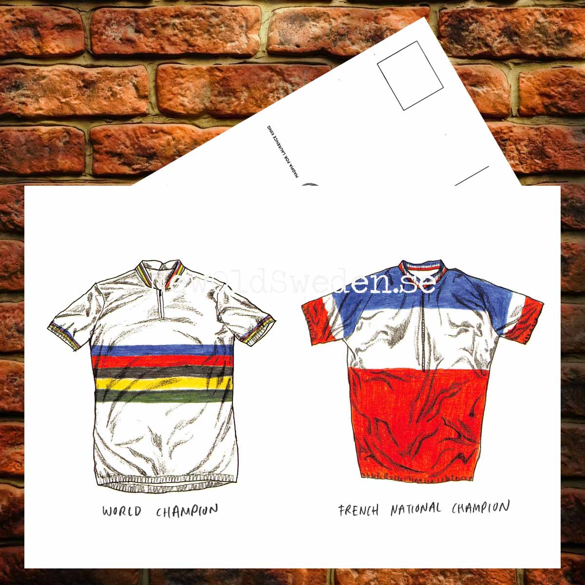 World Champion jersey - Franch National Champion - Card No. 20 - 3
