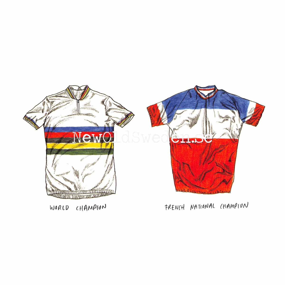 World Champion jersey - Franch National Champion - Card No. 20 - 4