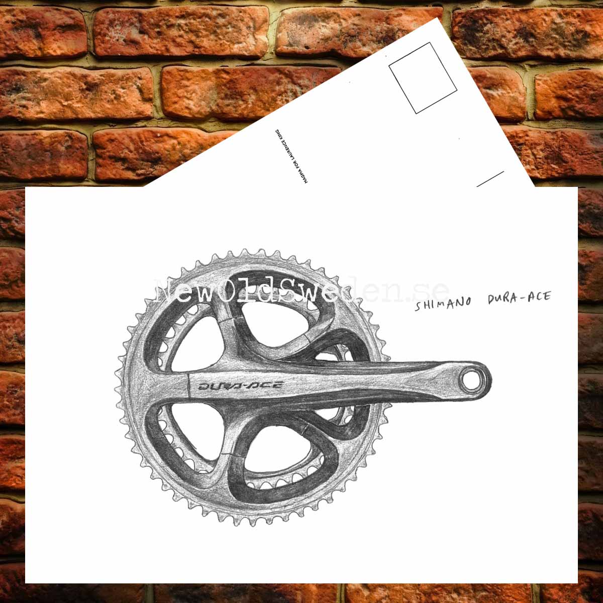 Shimano Dura-Ace 7900 - Card No. 21 - 3