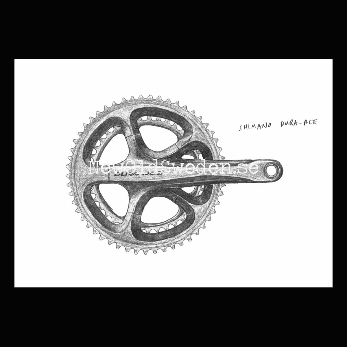Shimano Dura-Ace 7900 - Card No. 21