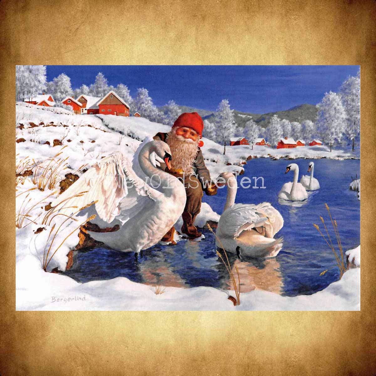 Svanarna Vykort 558 Jan Bergerlind - 908 - 2
