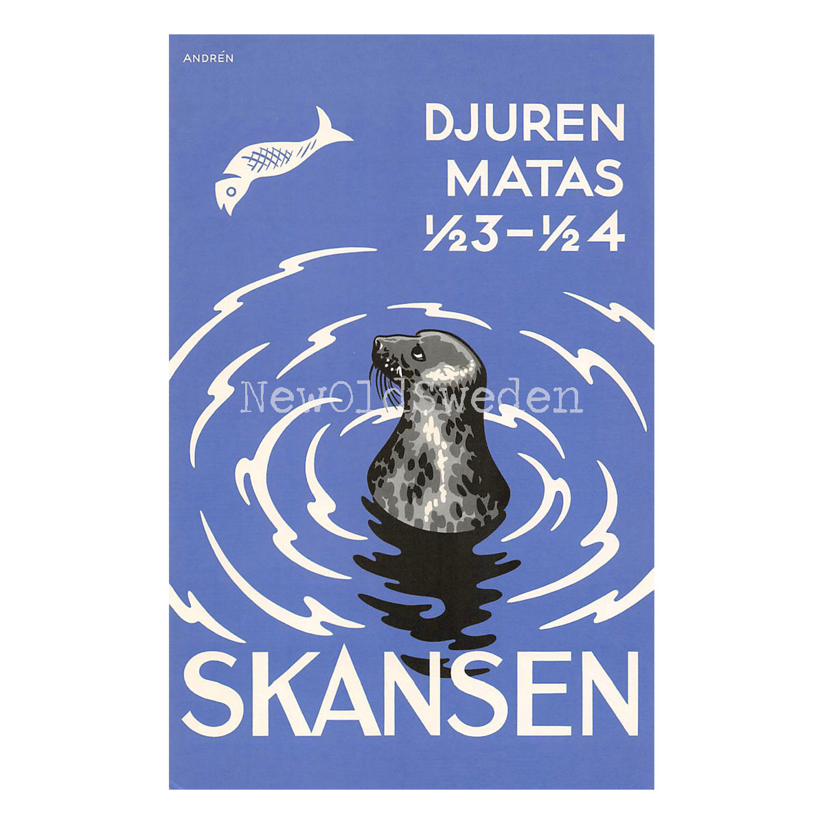 SÄLEN PÅ SKANSEN - 1930 - Vykort 12 x 18 cm - 4