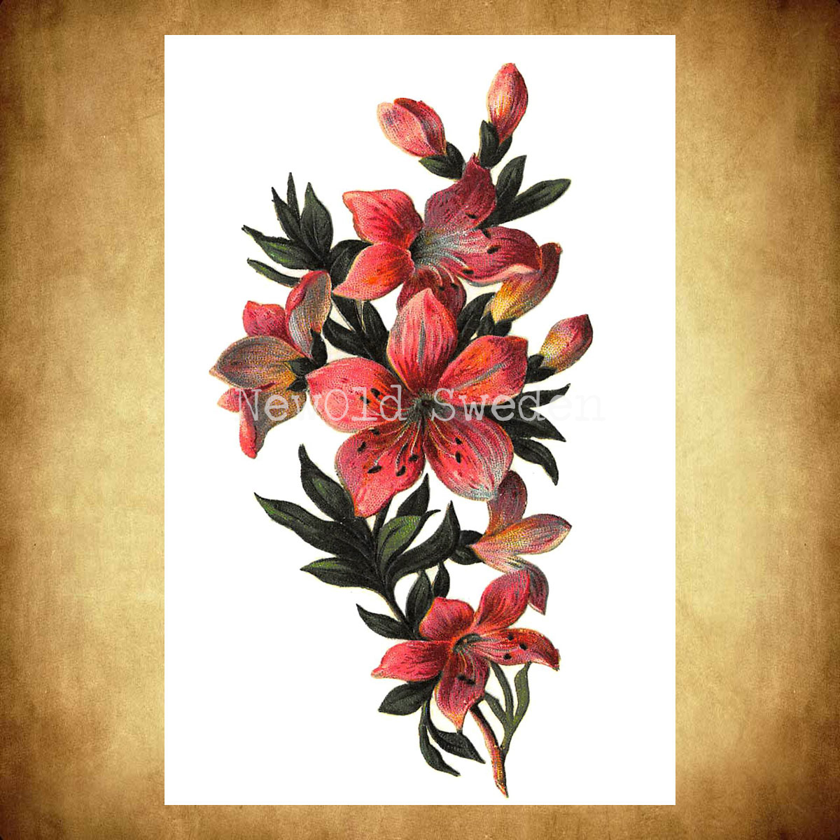 Lilja rosa Vintage Vykort Nr: 11 - 10 x 15 cm - 425 - 3