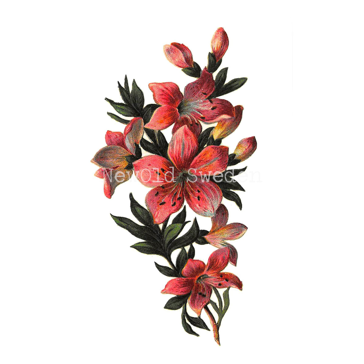 Lilja rosa Vintage Vykort Nr: 11 - 10 x 15 cm - 425 - 2
